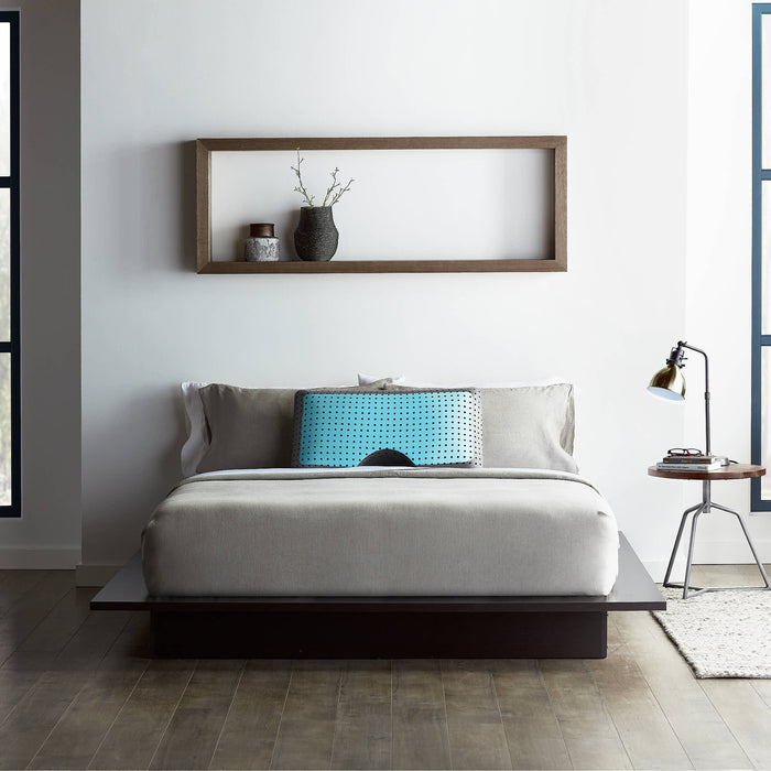 Shoulder CarbonCool +OmniPhase Pillow